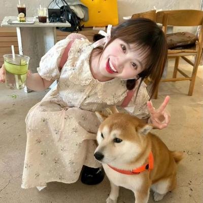 外母驾到粤语